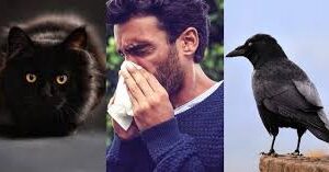 Unusual Superstitions That Pakistani People Actually Believe In
