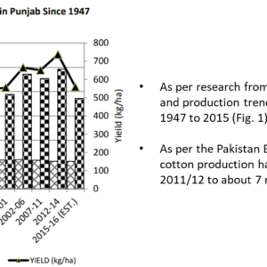 Fatima Fertilizer's ‘Khaki Desan’ reignites interest in Cotton