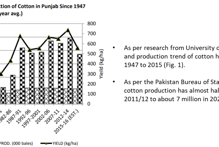 Fatima Fertilizer's ‘Khaki Desan’ reignites interest in Cotton