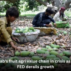 20% Federal Excise Duty rocks Punjab’s rural economy